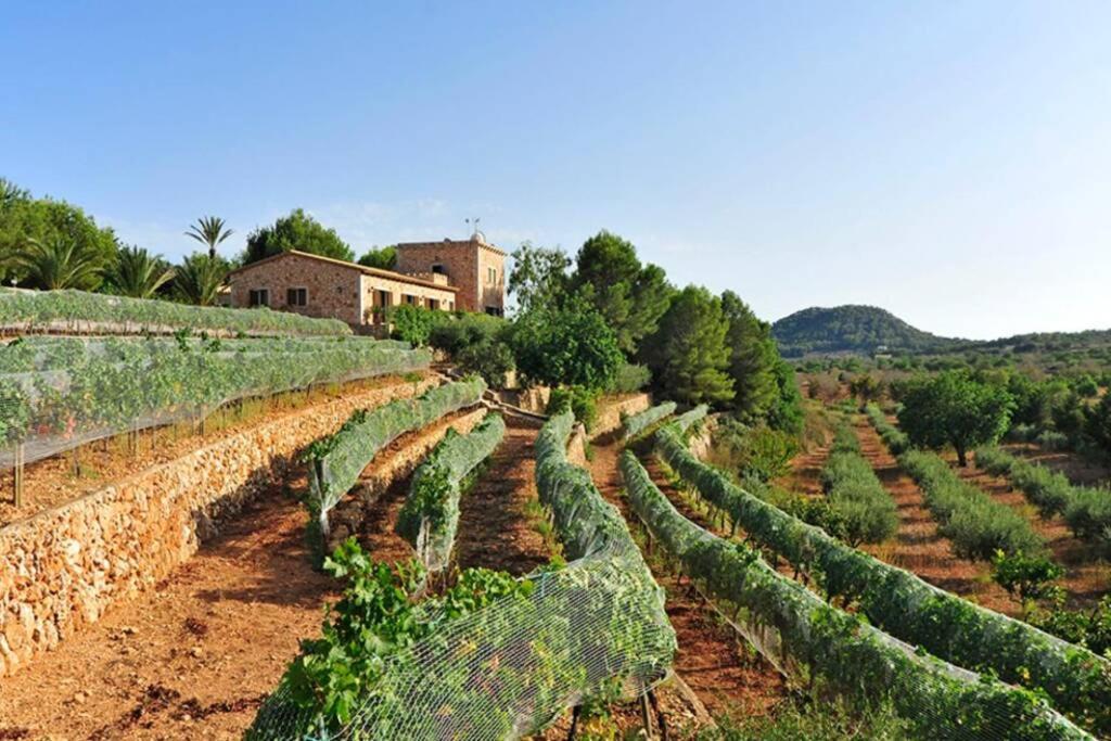Es Castell De Ca N'Alou De Ses Cases Noves S'Horta Exteriör bild
