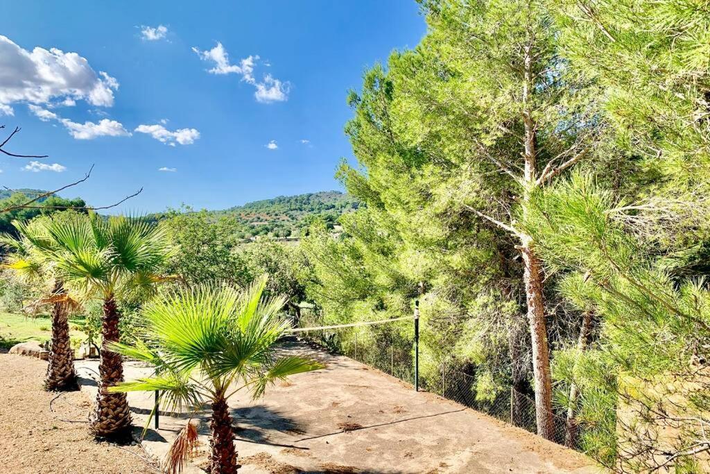 Es Castell De Ca N'Alou De Ses Cases Noves S'Horta Exteriör bild