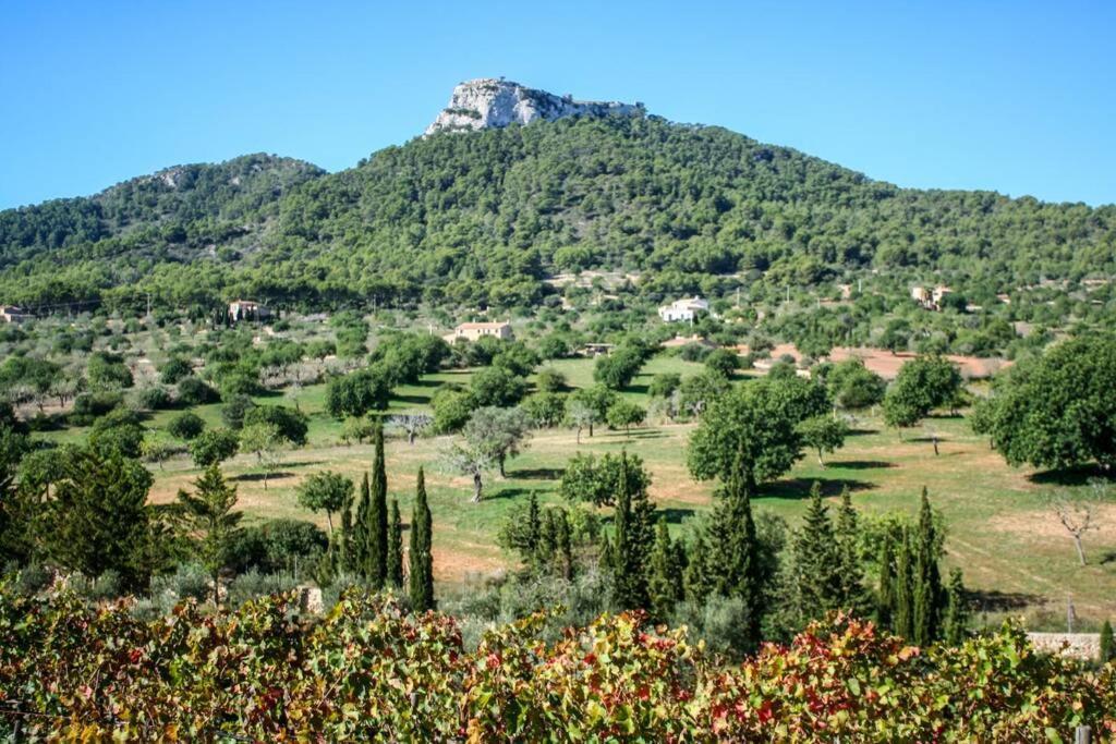 Es Castell De Ca N'Alou De Ses Cases Noves S'Horta Exteriör bild